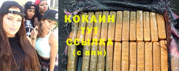 дживик Аркадак