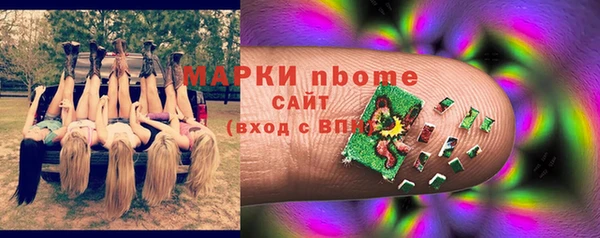 хмурый Арсеньев