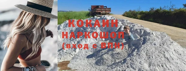 хмурый Арсеньев
