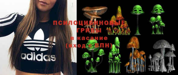 хмурый Арсеньев