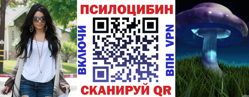 Псилоцибиновые грибы мицелий Карачев