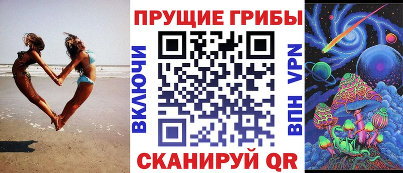 Галлюциногенные грибы GOLDEN TEACHER  цены наркотик  blacksprut рабочий сайт  Карачев 
