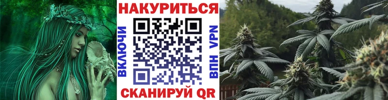Бошки марихуана семена купить наркоту kraken сайт Карачев
